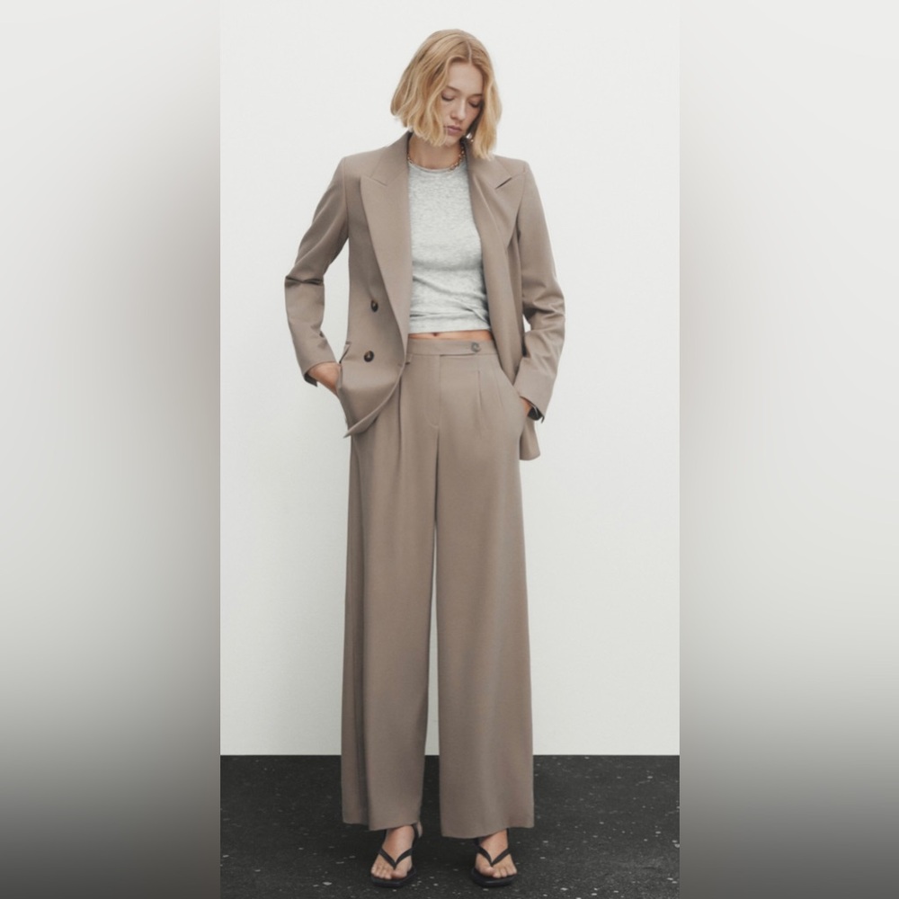 Massimo Dutti Wool Blend Trousers